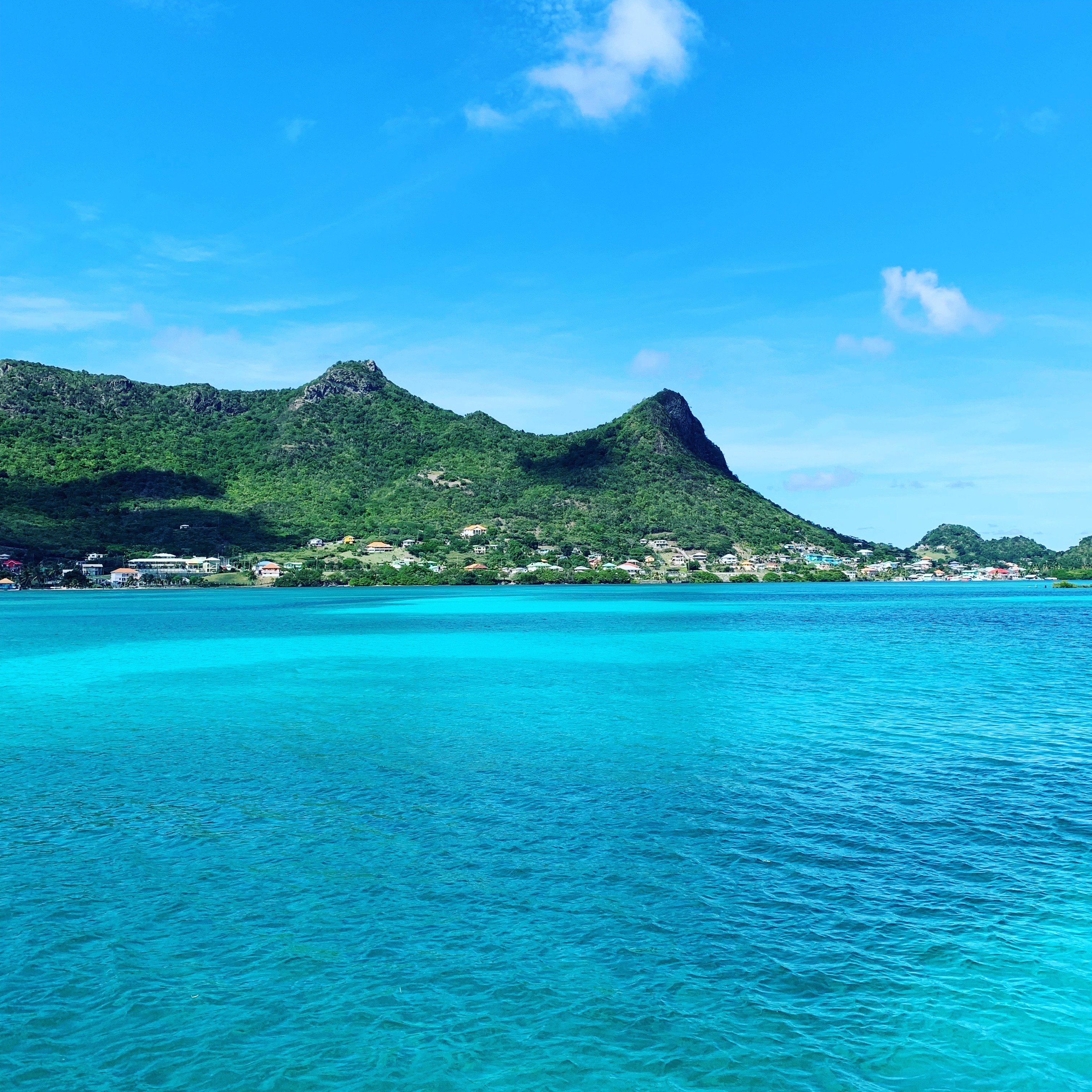 One year in the Caribbean...