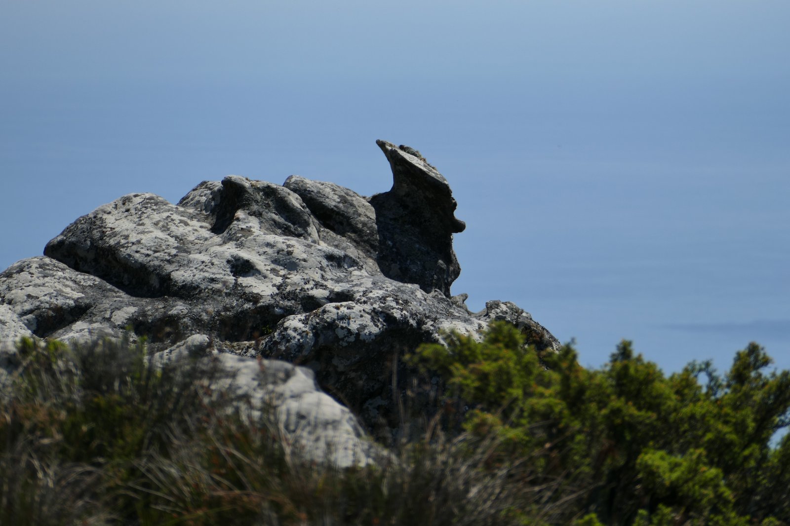 Sandstone formations on the summit of Table Mountain