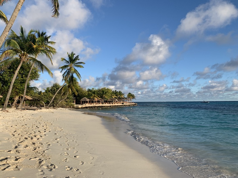 A pristine white sand beach with palm trees and a thatched beach bar along the water's edge