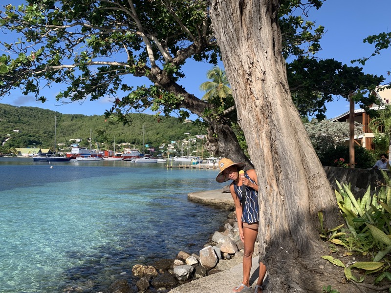 Yuka under a large tree in Port Elizabeth, Bequia — Admiralty Bay anchorage behind her