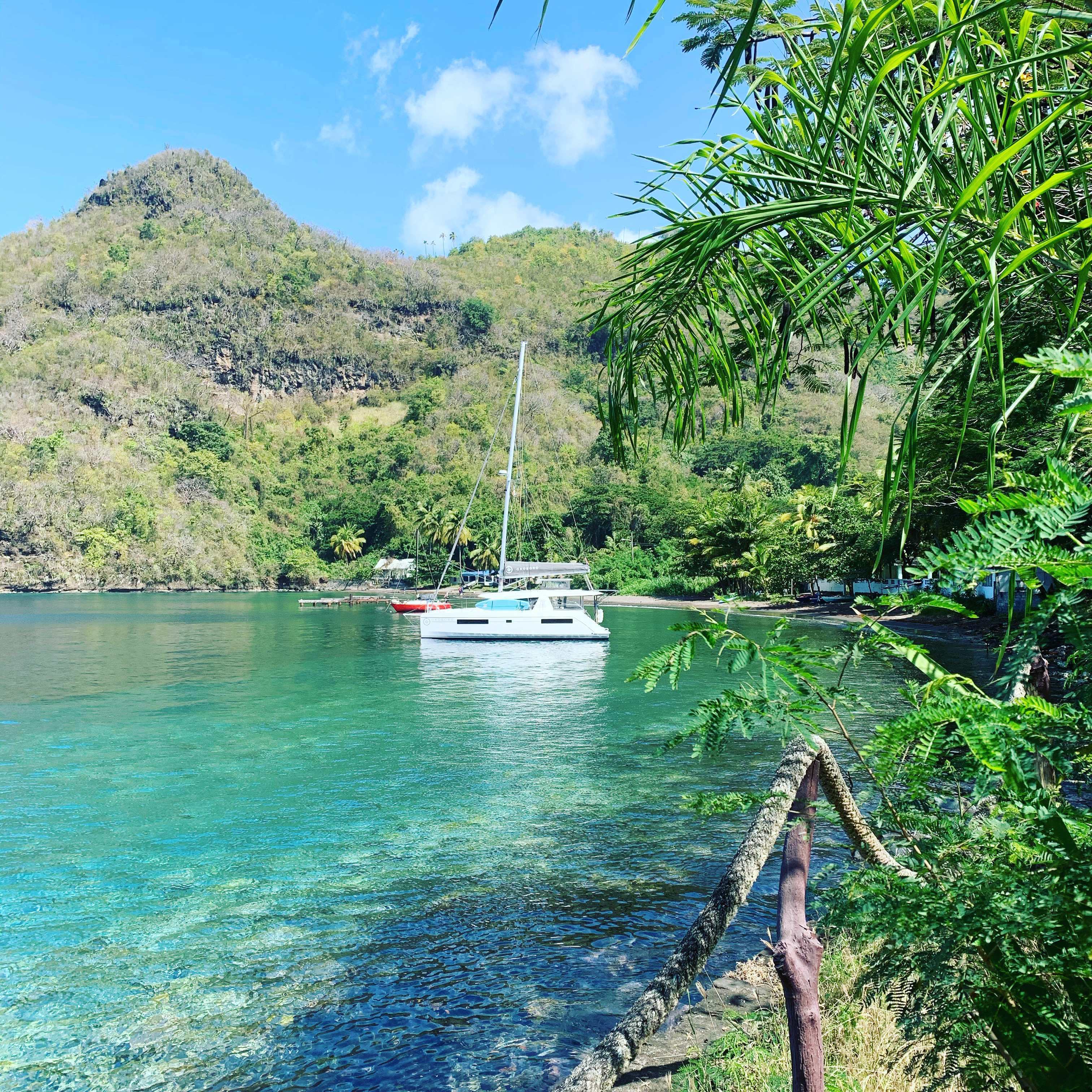 Oroboro anchored in a lush St Vincent bay — palm fronds in the foreground, volcanic hills behind
