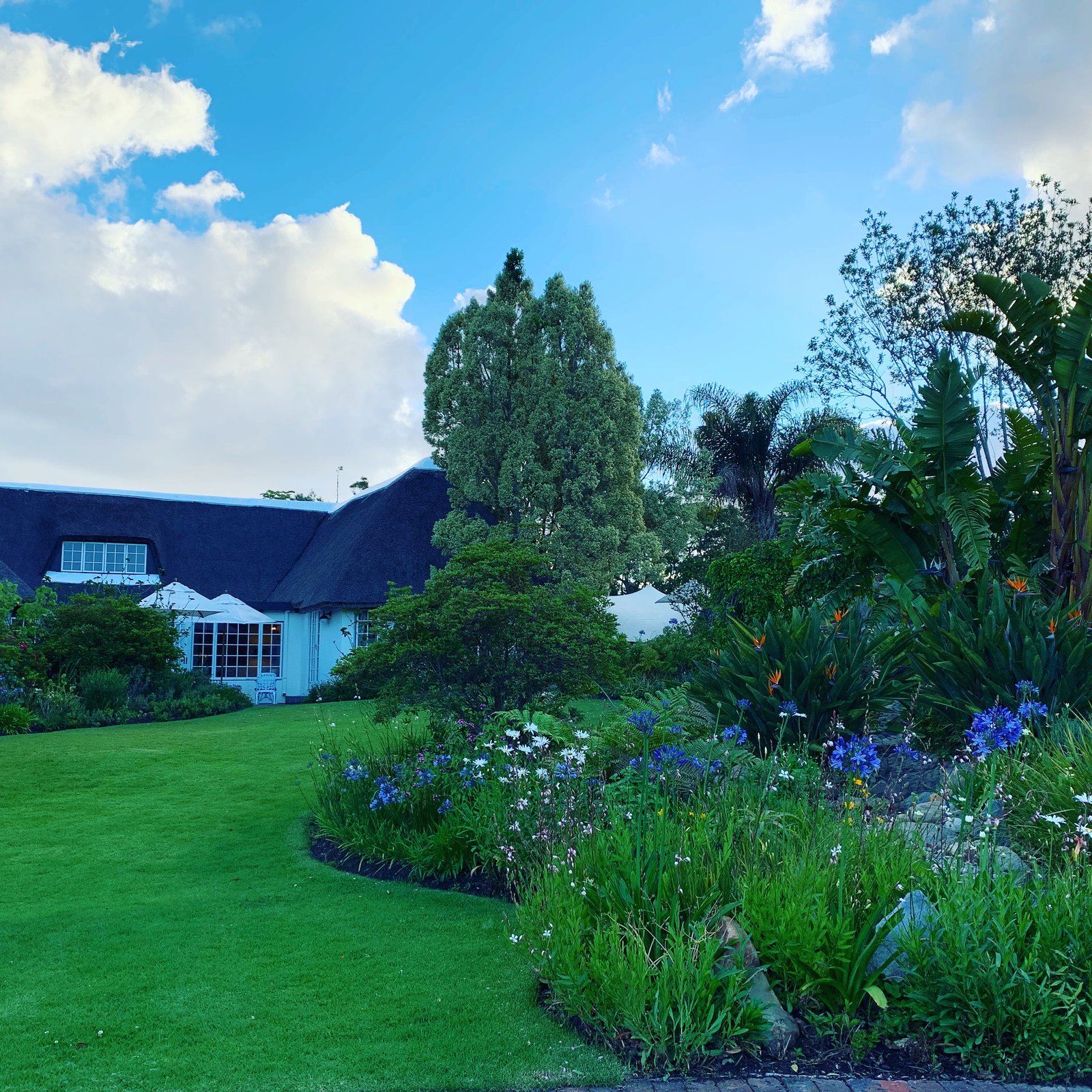 The Phantom Forest eco-lodge near Knysna — our country house for the night