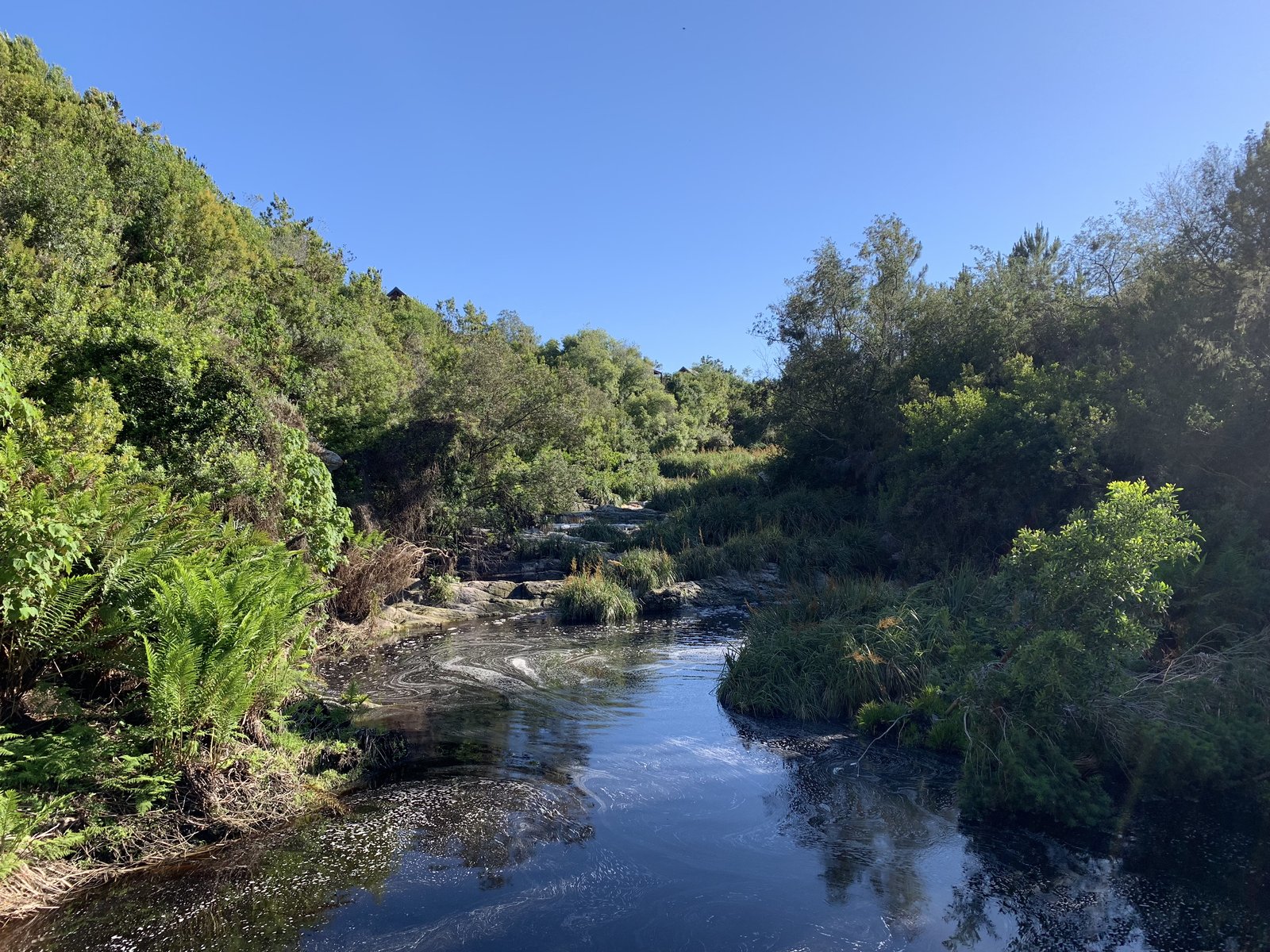 The Storms River winding through the Tsitsikamma indigenous forest