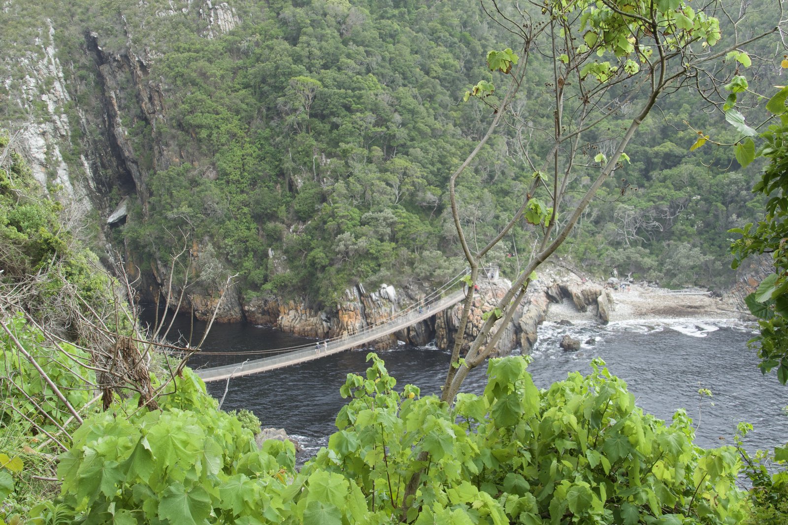 The suspension bridge spanning the Storms River gorge at the river mouth