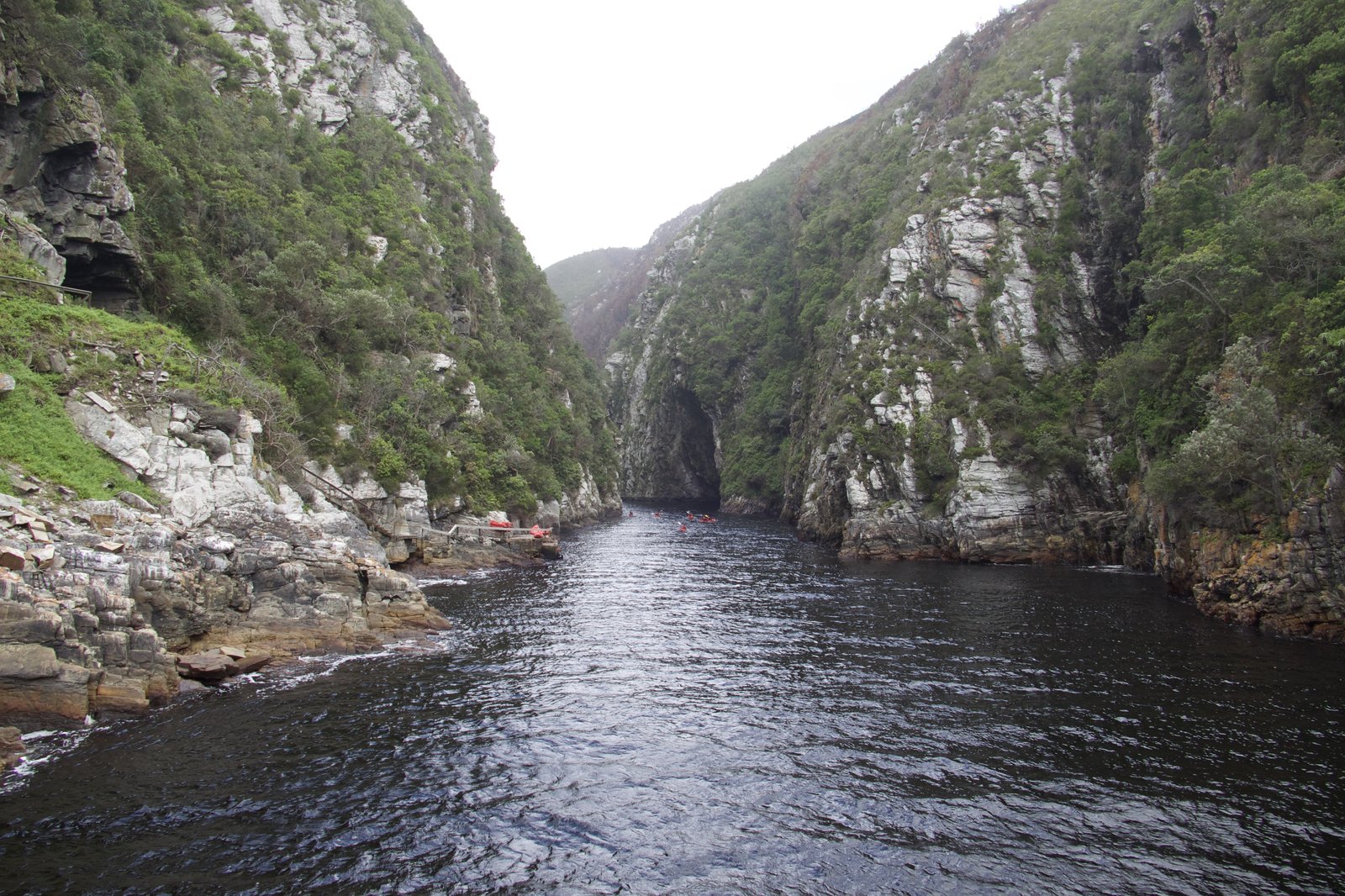 The Storms River mouth — dark, tannic water cutting through sheer green cliffs
