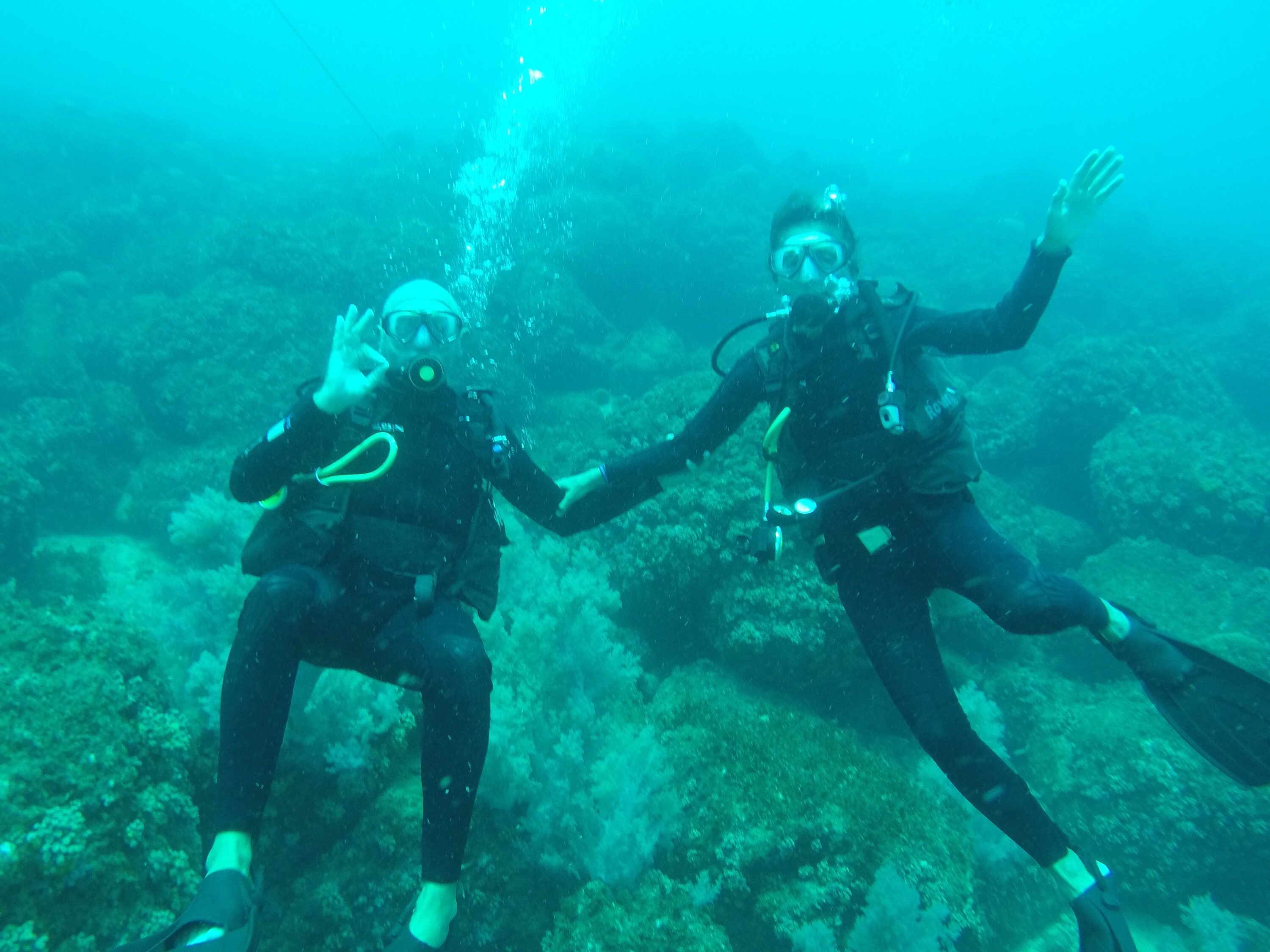 Underwater paradise in Abrolhos