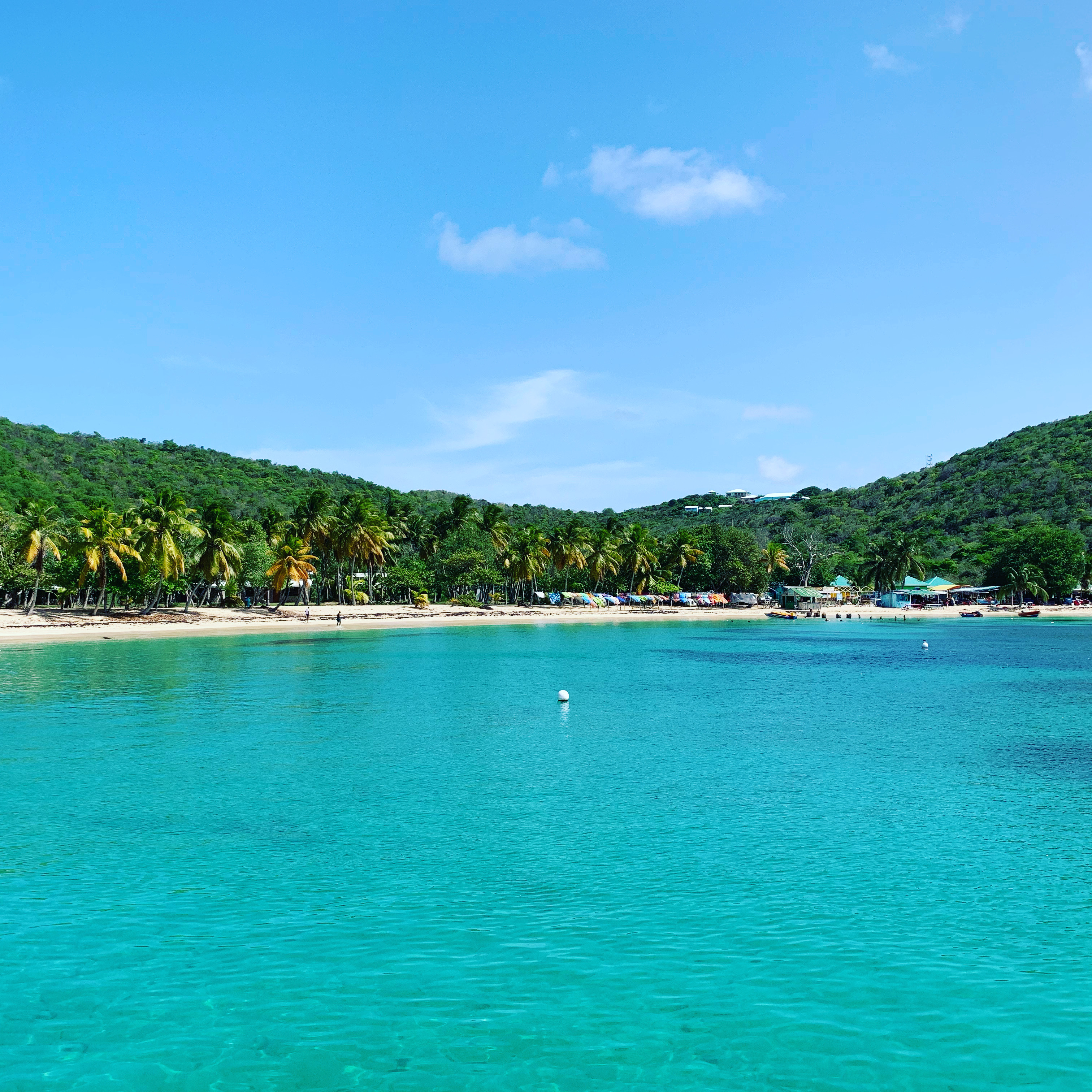 Carriacou's Tyrrell Bay — turquoise water, palm-lined beach, and the beach bar strip