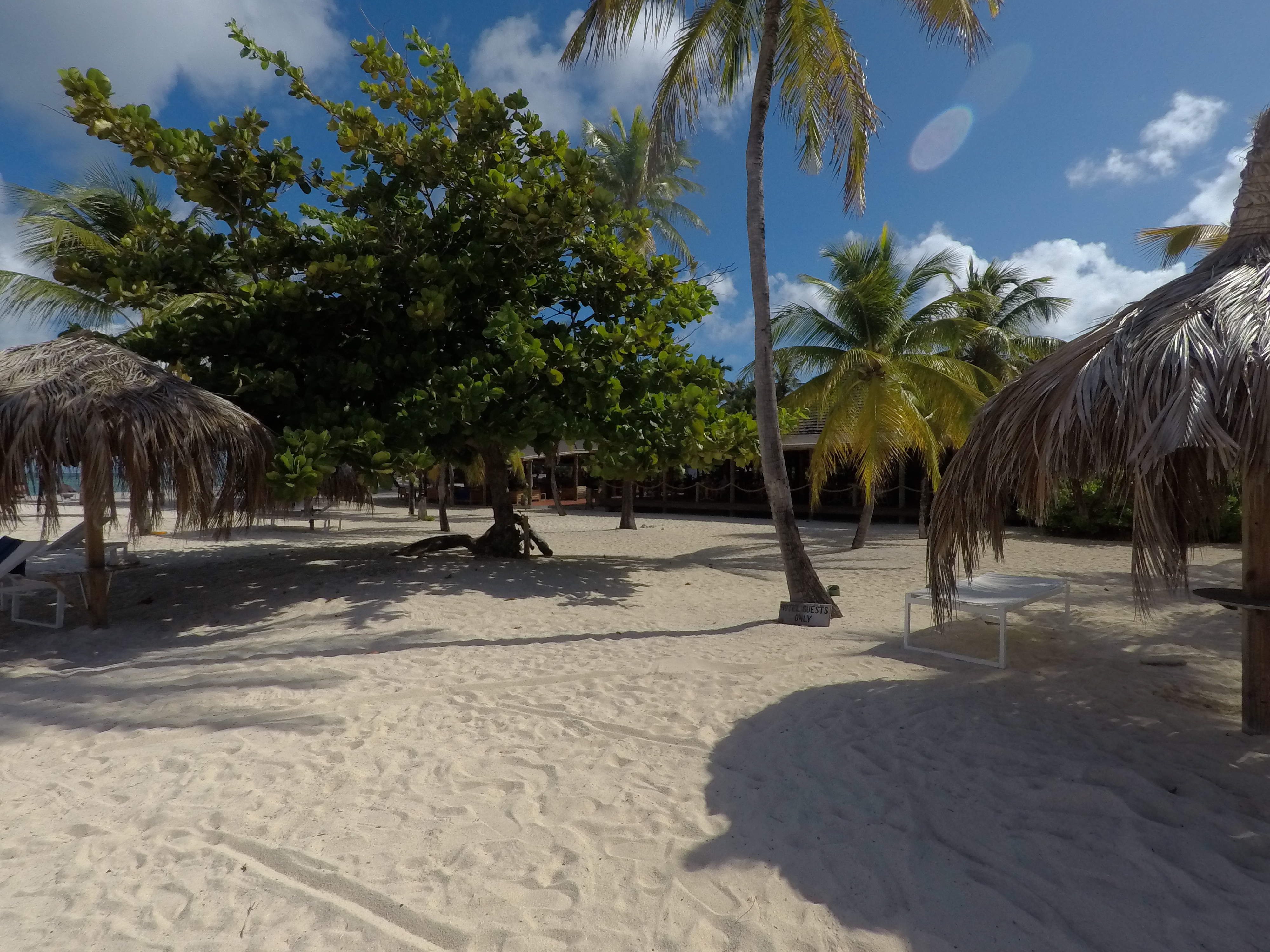 Thatched-roof umbrellas on a white sand Grenadines beach