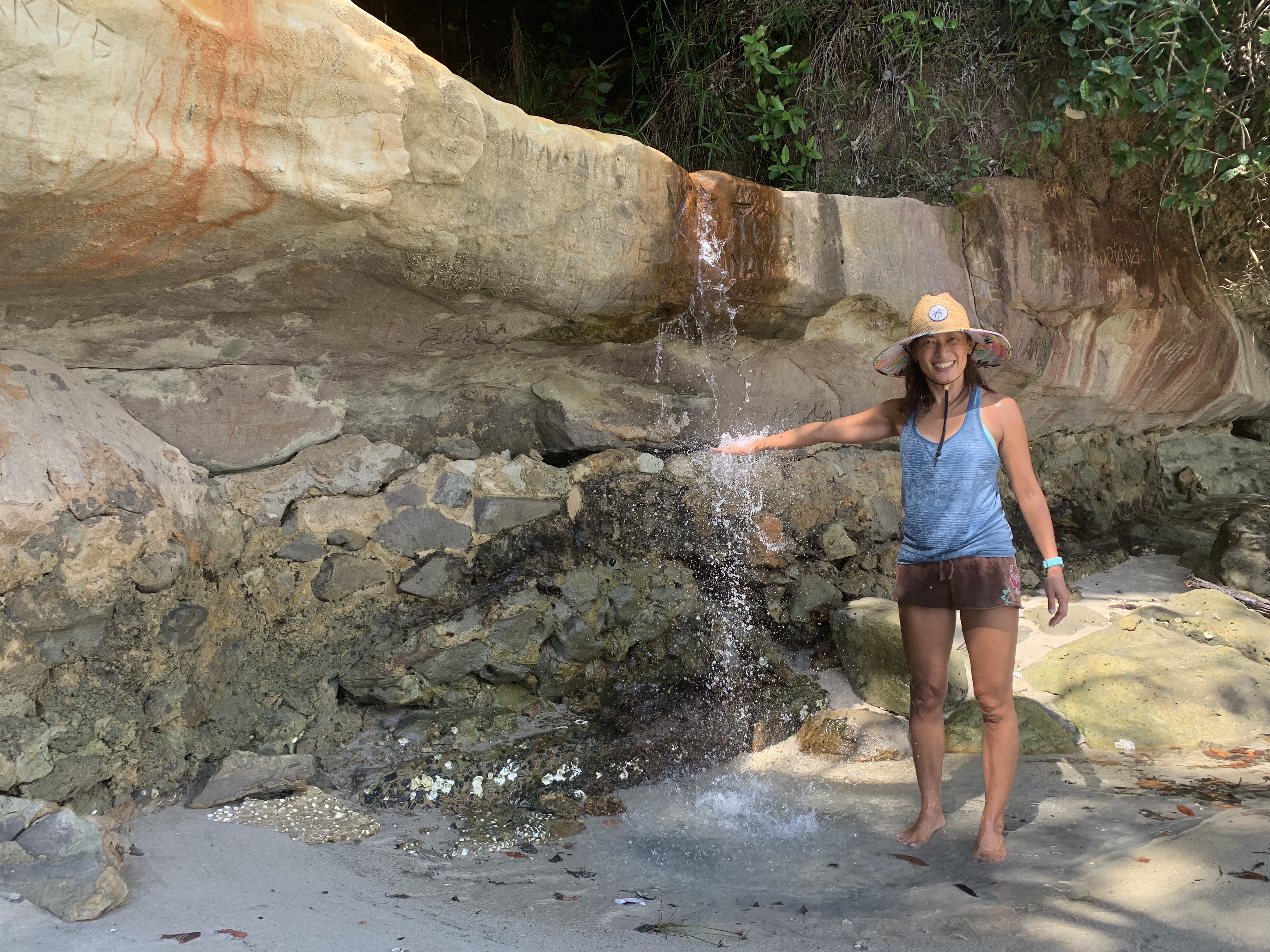 Ilha do Goio