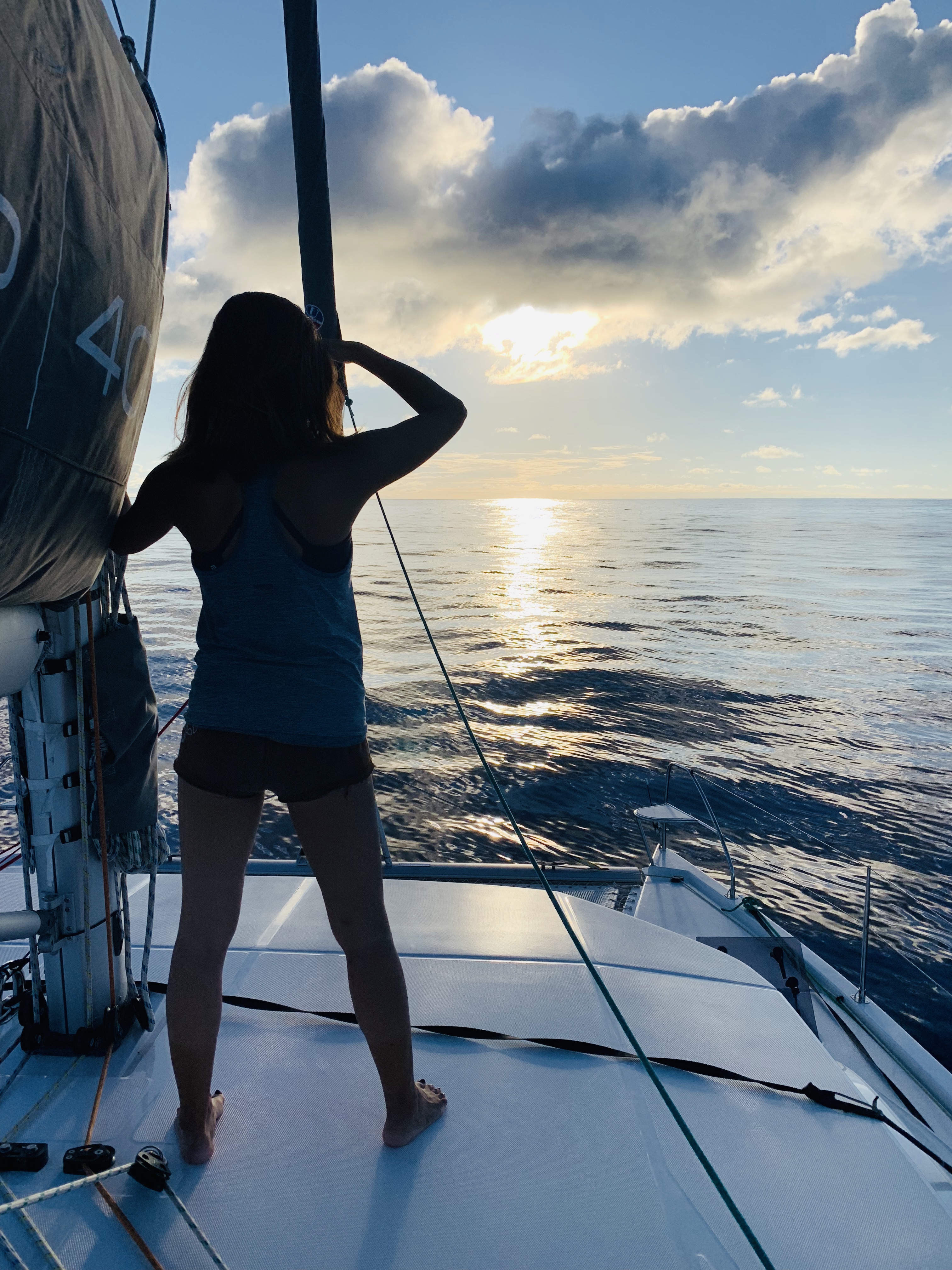 Looking for land during the South Atlantic ocean crossing