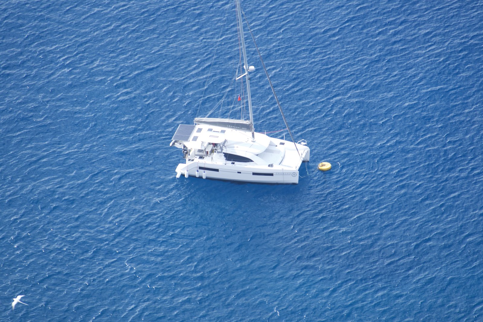 Oroboro seen from the St. Helena clifftops — a small white hull in the deep blue