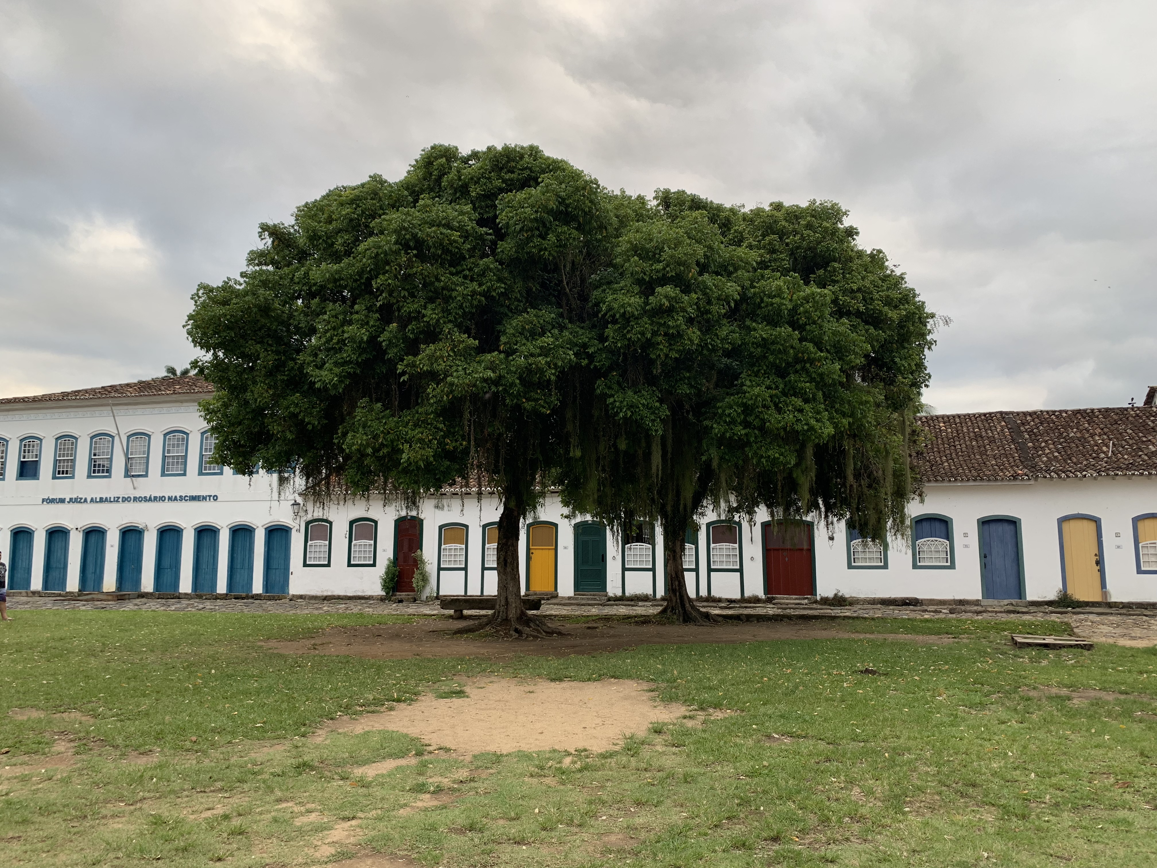 Uma enorme figueira centenária na Praça da Matriz em Paraty, sua copa monumental espalhando-se pela praça com coloridas fachadas coloniais ao fundo