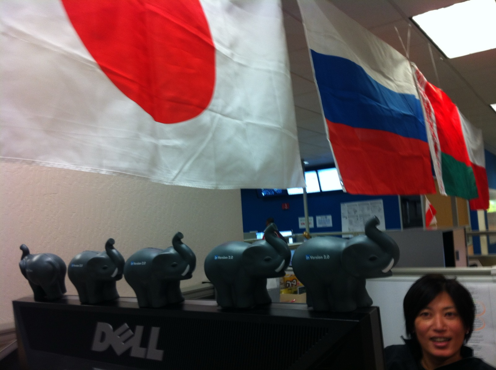 Yuka at her office — surrounded by international flags and elephant figurines, the Silicon Valley tech world we were about to leave behind