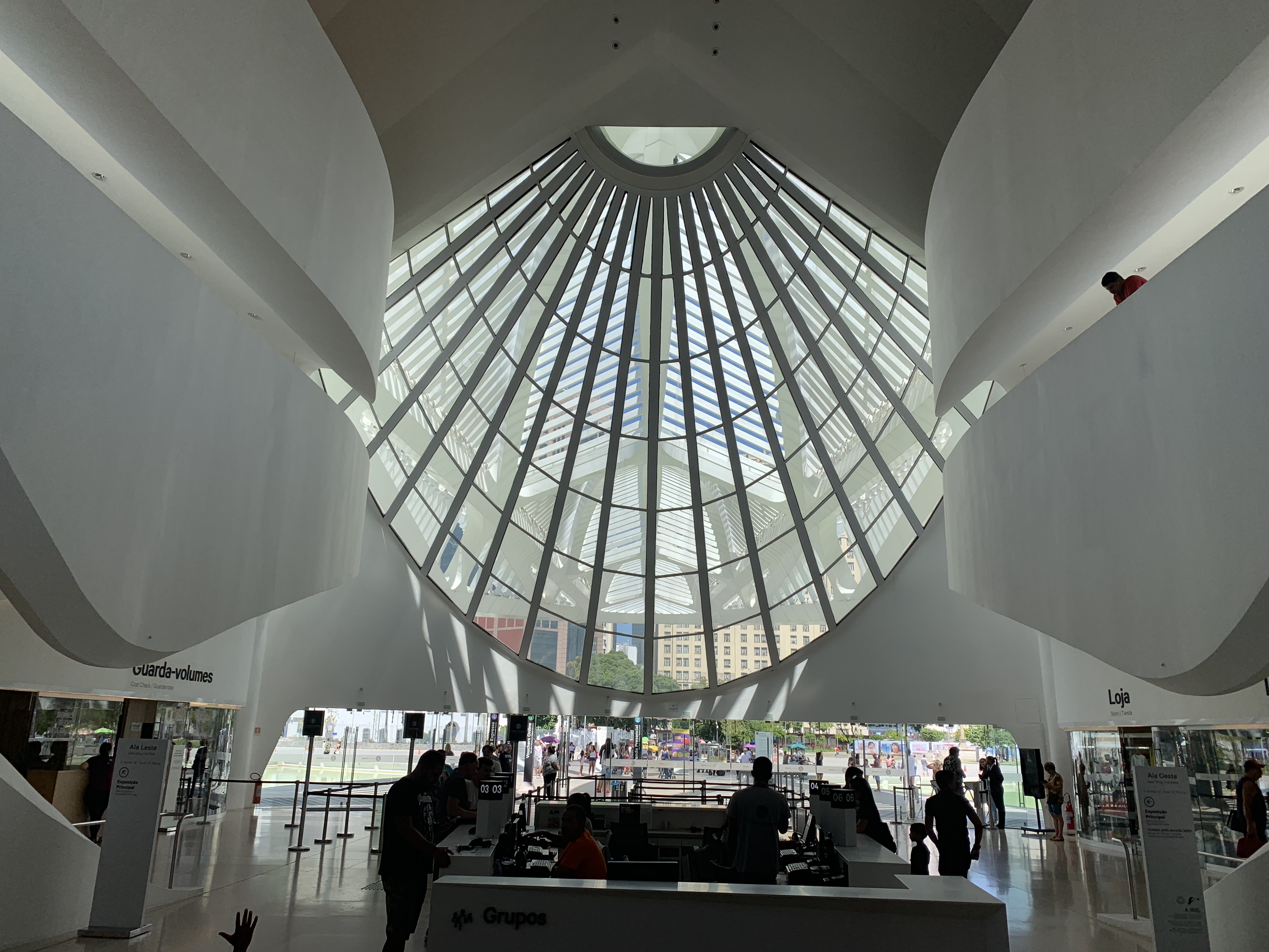Interior of Museu do Amanha showing the dramatic ribbed shell ceiling