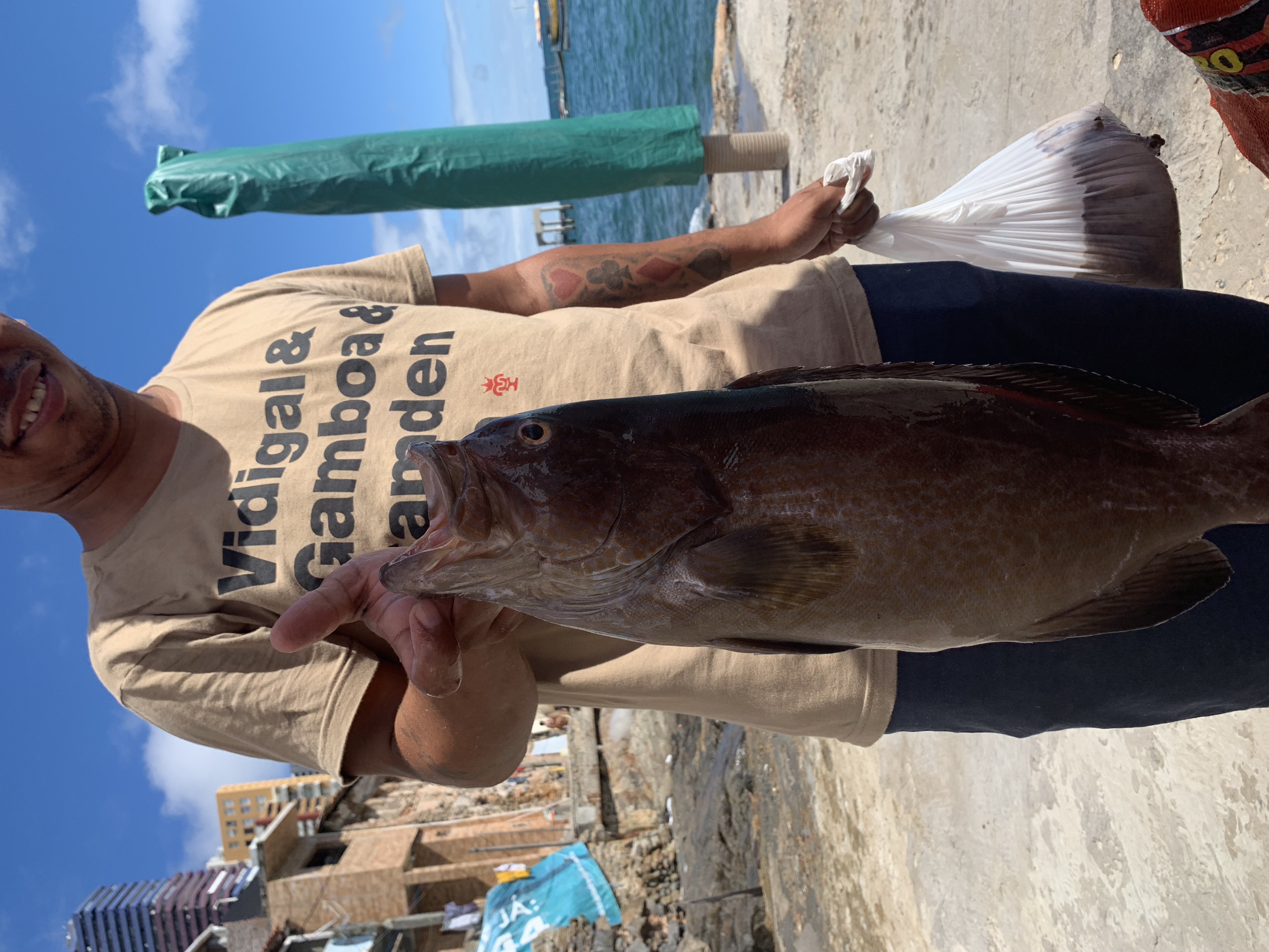 A fisherman holding a large grouper at the waterfront fish market