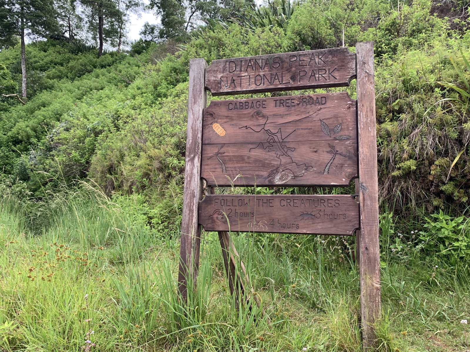 Diana's Peak National Park wooden sign at the Cabbage Tree Road trailhead — 'Follow the Creatures, 2-3 hours'