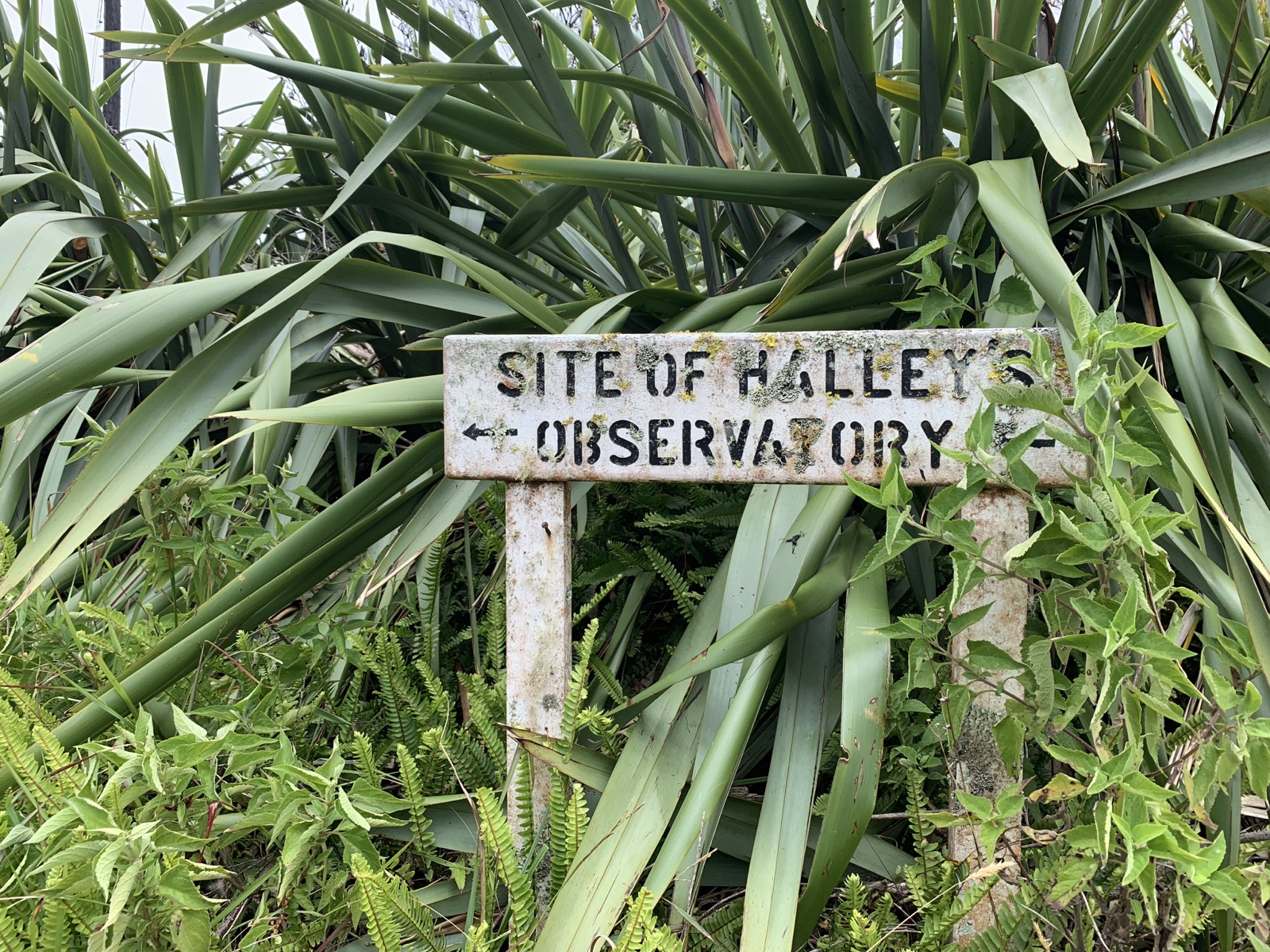 The weathered 'Site of Halley's Observatory' signpost pointing left, set among tropical plants