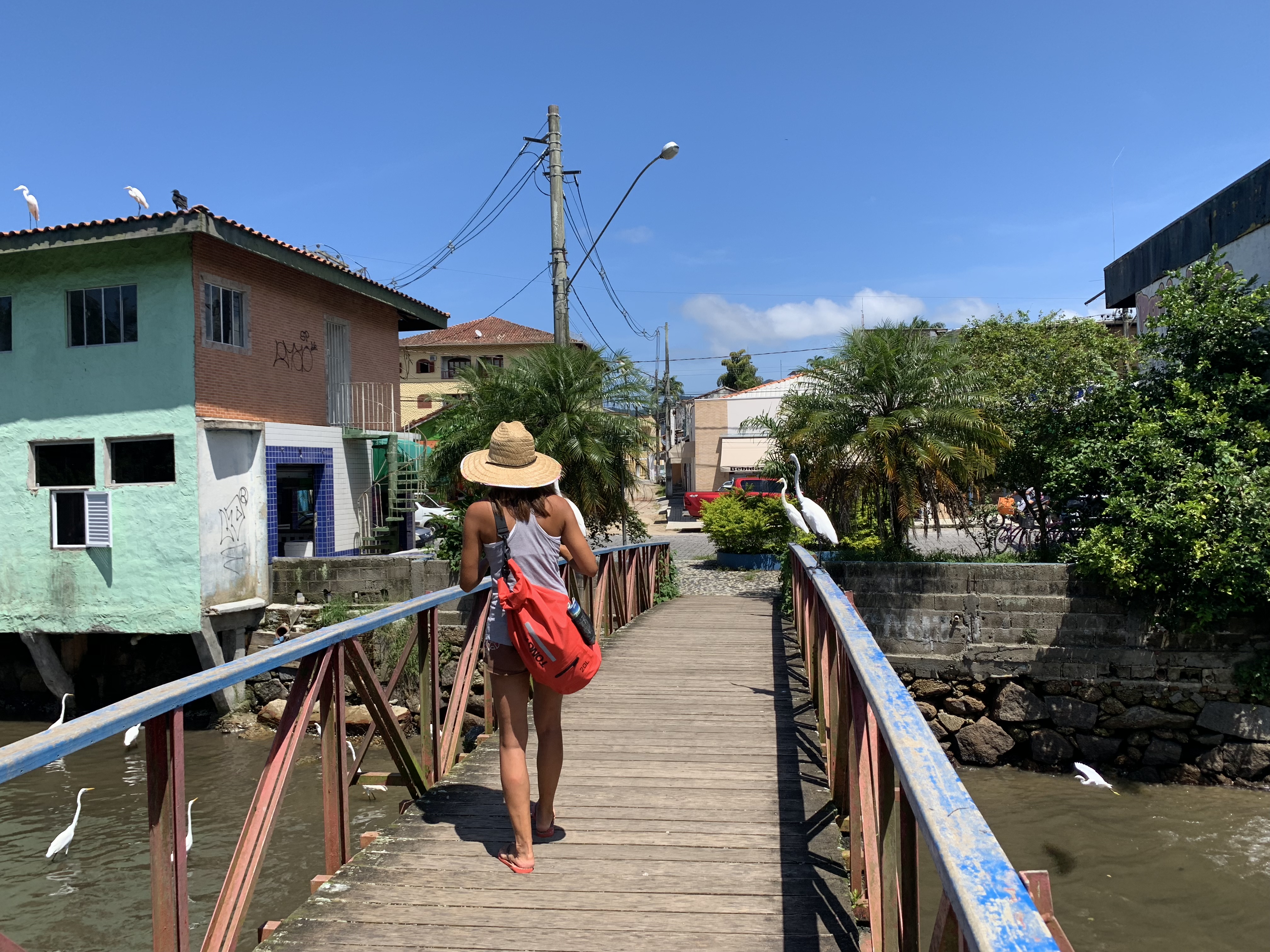 Yuka crossing the footbridge in Ubatuba with egrets alongside